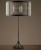 Interior Decorative Table/Desk Lamp with Metal for Bedside or Study