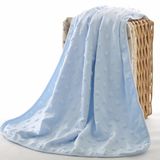 Wholesale Newborn Soft Personalized Baby Minky Blanket