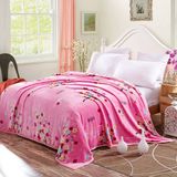 Cheap Microifber Flannel Coral Fleece Blanket