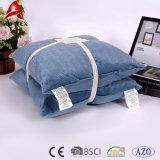 Hot Sale Micromink Custom Fashion Embroidered S/2 Cushion