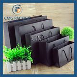 2015 New Luxury Shopping Paper Bag for Clothing (DM-GPBB-043)