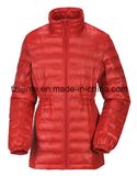 Women's Winter Padded Down Jacket