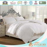High Quality Cotton Hotel Polyester Duvet/Comforter/Quilt