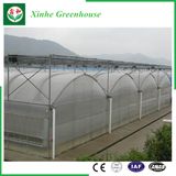 Agriculture/Commercial Polyethylene Film Tent with Cooling System