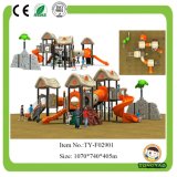 Colorful Outdoor Playground Equipment for Children (TY-F02901)