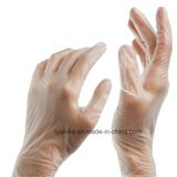 Powdered and Powder Free Disposable Examination Grade Vinyl Gloves