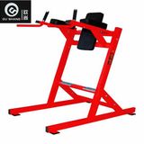 Leg Raise Machine Osh059 Gym Commercial Fitness Equipment
