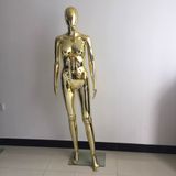 6 FT Plastic Female Mannequin Chrome Mannequin Golden Plated Mannequin