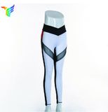 Wholesale Custom Women Sports Gym Wear