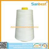 100% Spun Polyester Sewing Thread with High Quality 20/2