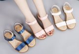 Hot Sale Women Casual Sandal Shoes Dress Shoes (FTS1020-1)