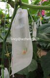 Polypropelyne Spunbond Nonwoven Fabric for Non Woven Fabric Agricultural Plant Cover