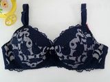 Factory Price Plus Size Bra in Stock (CS908)