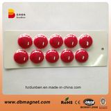 D30mm Permanent Magnetic Button for Office Supplies