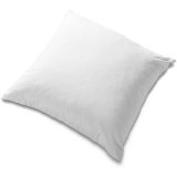 50*50cm 100% Duck Feather Filling Quality Cushion