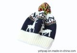 POM POM Hat Beanie Hat Jacquard Hat Knitted Hat