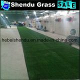 Artificial Grass Carpet 10mm for Wedding Floor Decoration
