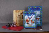 Factory Price Top Quality Christmas Gift Paper Bags