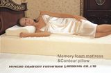 Memory Foam Mattress (Queen size)