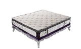 Ruierpu Furniture - Beds - Sofa Beds - Bedroom Furniture - Hotel Furniture - Home Furniture - Latex Beds Mattresses