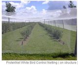 Aphid Netting Agricultural Anti Insect Net