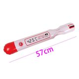 Kids Party Gifts Toys PVC or TPU Inflatable Thermometer