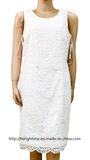 Women's Woven Lace Dress (RTD14067)