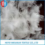 Bulk White Duck or Goose Feathers