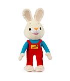 Custom Cartoon Custom Plush Toy