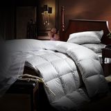 Wholesale Luxury Hotle/Home Eiderdown Quilt