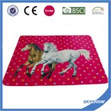 Full Color Printing 100% Polyester Polar Fleece Blanket (SSB0209)