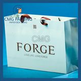 Golden High Quality Branded Retail Paper Bag (DM-GPBB-044)