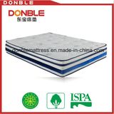 Modern Style Soft Foam 3 Zone Pocket Spring Compressed Mattress