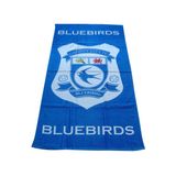 100% Cotton Velour Reactive Printed Beach Towel