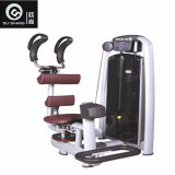 Pin Loaded Rotary Torso Machine Sm8010 Gym Fitness Equipment