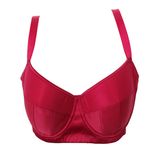 High Quality South Africa Ladies Plus Size Bra (CS25270)