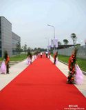 Nonwoven Needle Punch Carpet Wedding Plain Exhibition Carpets