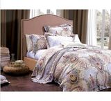 100% Lyocell Bedding Set Ts120668
