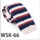 Men's Fashionable 100% Polyester Knitted Necktie (WSK-66)