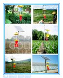 Solar Pest/Insect Killer Lamp Used in Farm, Greenhouse, Garden, Orchard