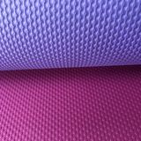 Suppliers Wholesale TPE Yoga Mat Non Toxic Eco Yoga Mat