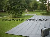 Outdoor Carpet
