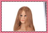 Hot Selling Human Hair Training Head 22inches for Beauty School