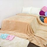 Wholesale Travel Soft Fleece Blanket