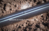 Drip Tape with Double Line for Irrigation