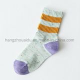 Hot Sale Popular Market for Kids Crew Sock