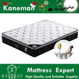 Royal Mattress Bagged Pocket Spring Euro Pillow Top Mattress