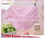 MID Waist Cotton Lacework Briefs Cute Girl Panty Pretty Girls Panties