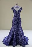 Royal Blue Lace Mermaid Evening Dresses