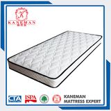 General Use Bedroom Furniture vacuum Rolled Mattress 23 Cm